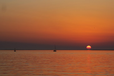 Header